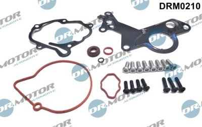 Opravná sada, podtlakové čerpadlo (brzdový systém) Dr.Motor Automotive DRM0210