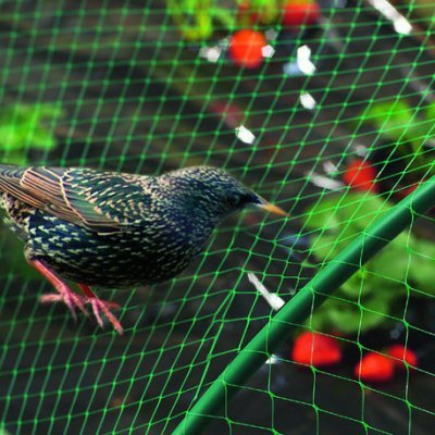 Sieť proti vtákom zelená Pronet 5x6m