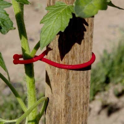Tomato Klips červený 25ks