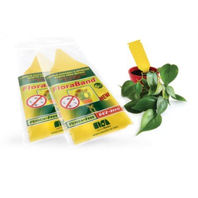 Lepové doštičky FloraBand 5ks