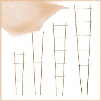 ECHELLE BAMBOO podpora kvetov 0.9m