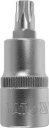 Torx