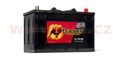 Banner - Buffalo Bull 12V 110Ah 800A P+
