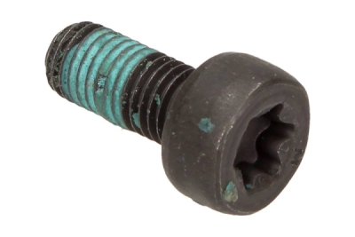 OEM PSA - Skrutka 203708