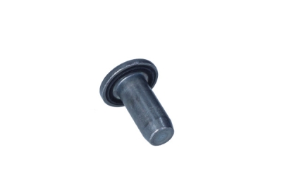 OEM RENAULT - Skrutka relingu RENAULT MEGANE II 7703043127