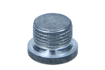 OEM PORSCHE - Skrutka PORSCHE CAYMAN 05-13 PAF008309A