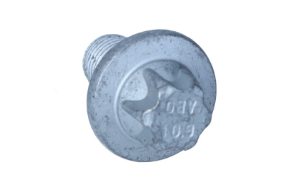 OEM BMW - Skrutka BMW 7 G11 24407629873