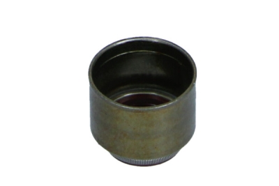 OEM KIA - Sada tesnení driekov ventilov KIA K2700 99- 0K65A10155A
