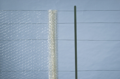 Pletivo hydinové pozinkované 1x10m/19mm