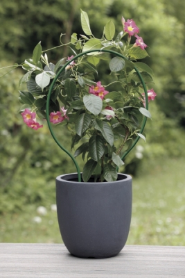 Podpera na kvety PLAST ARC zelená 42cm