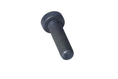 OEM BMW - Skrutka BMW 5 G30 11712249909