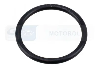 OEM PSA - ORIGINÁLNY DIEL 1319N4