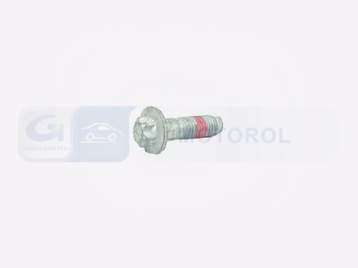 OEM PSA - Skrutka vačkového hriadeľa CITROEN C-C5 (X7)/P-407 364812