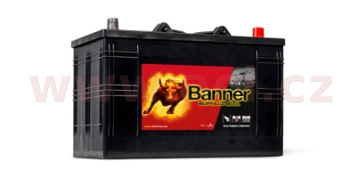 Banner - Buffalo Bull 12V 110Ah 800A P+