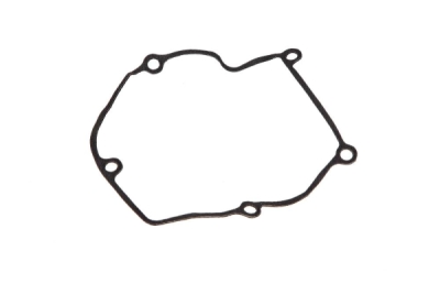Tesnenie krytu alternátora Centauro 722B21048