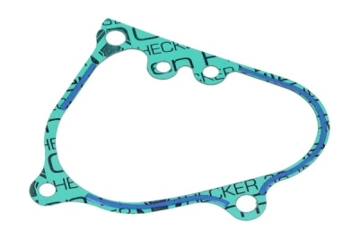 Tesnenie krytu alternátora Centauro 666B21035