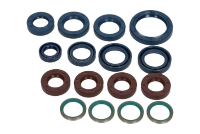 CENTAURO - Sada tesnení motora, olejové tesnenia DUCATI 916 MONSTER S4 2001-2002 (17EL.)574A917SR