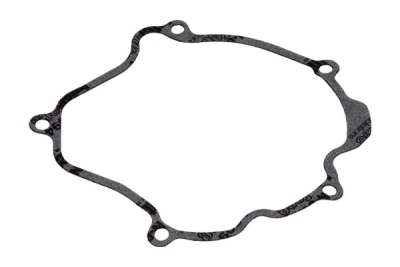 Tesnenie krytu alternátora Centauro 722B21006