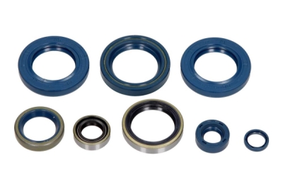 CENTAURO - Sada tesnení motora, olejové tesnenia KTM DUKE 640 2003-2006 (8EL.)731A259SR