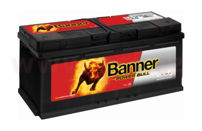 Banner Power Bull P10040 12V 100Ah 820A P+