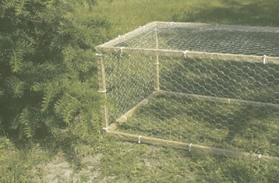 Pletivo hydinové pozinkované 1x10m/19mm