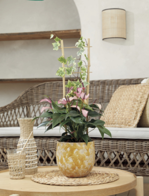 ECHELLE BAMBOO podpora kvetov 0.9m