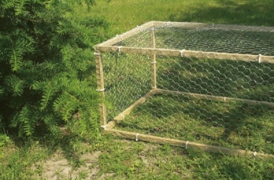 Pletivo hydinové pozinkované 1x50m/30mm