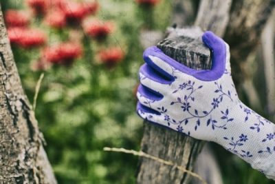Rukavice FLOWER LILA veľkosť 7 (balenie 12ks)
