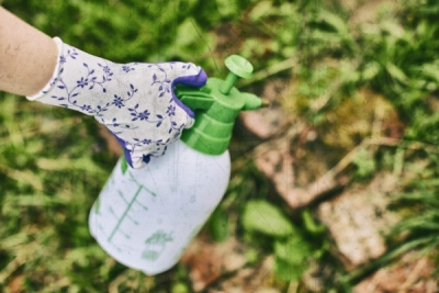 Rukavice FLOWER LILA veľkosť 7 (balenie 12ks)