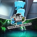 Arlo  Aqua