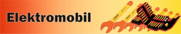 servis elektromobilu