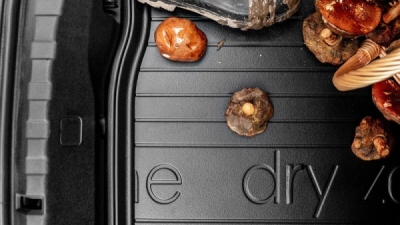frogum dryzone