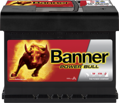 Banner Power Bull P6219 12V 62Ah 550A P+