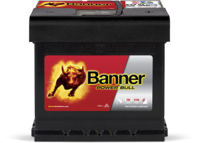 Banner Power Bull P5003 12V 50Ah 450A P+