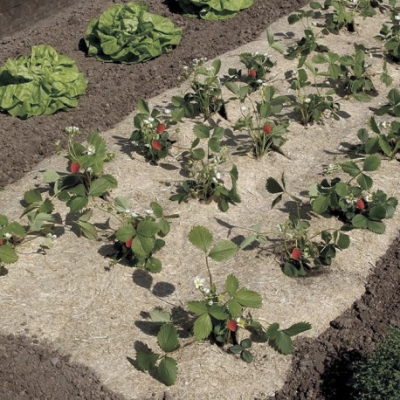 Pokrývka pôdy FLAXHEMP 0,49x3m prírodná BIO