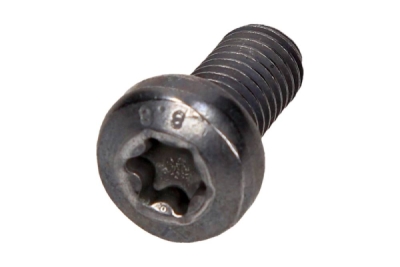OEM PSA - Skrutka 6912J3