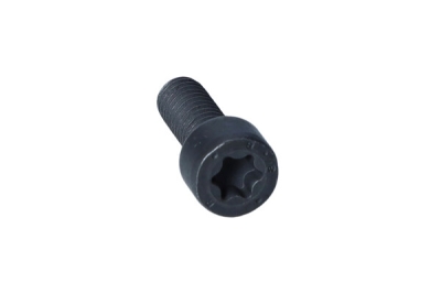 OEM BMW - Skrutka BMW 3 F30 07119905524