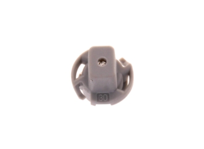 OEM FORD - Žiarovka podsvietenia prístrojov FORD MONDEO 00- S OBJÍMKOU 3009344