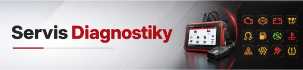 Diagnostika
