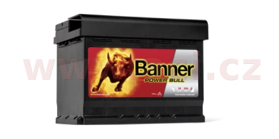 Banner Power Bull P6009 12V 60Ah 540A P+