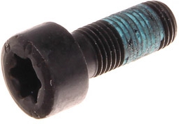 OEM PSA - Skrutka dvojhmotného zotrvanika PSA DW10/DW12, 1682800980