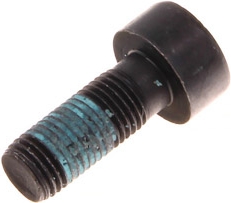 OEM PSA - Skrutka dvojhmotného zotrvanika PSA DW10/DW12, 1682800980