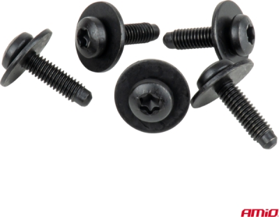 Súprava skrutiek Torx s podložkou ⌀ 6 mm 23 mm, 5 súprav AMIO-05042