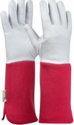 Rukavice TommI ROSE veľkosť M/8 ružové (balenie 6ks)