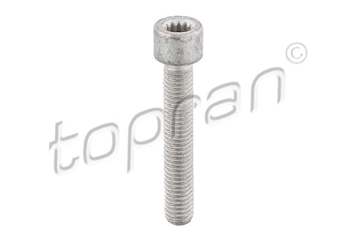 Šroub, příruba hnacího hřídele TOPRAN 104 306