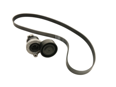Sada žebrovaných klínových řemenů ORIGINAL RENAULT 117202495R