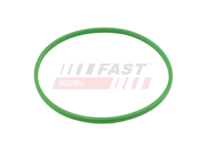 Těsnění, palivová nádrž FAST FT48503
