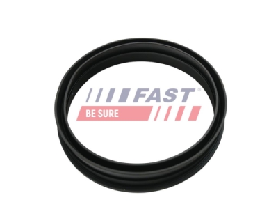 Těsnění, snímač paliva FAST FT48501