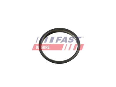 Těsnění, vakuové čerpadlo FAST FT49853
