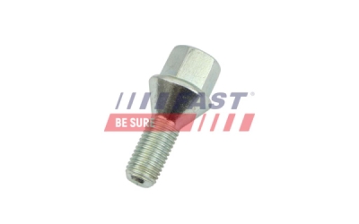 Šroub kola FAST FT10436